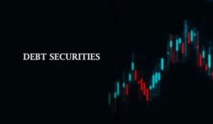 debt securities, its types and key features, and risk associated